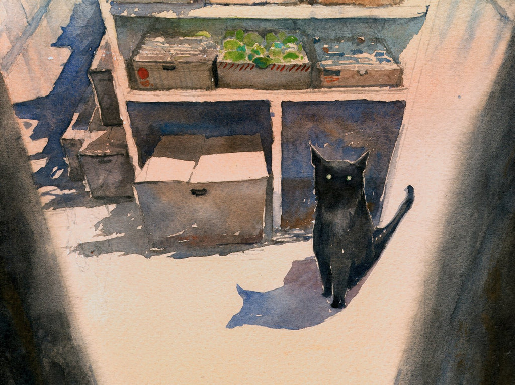 Bodega Cat