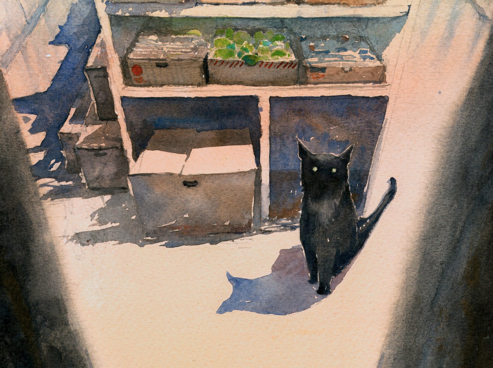 Bodega Cat