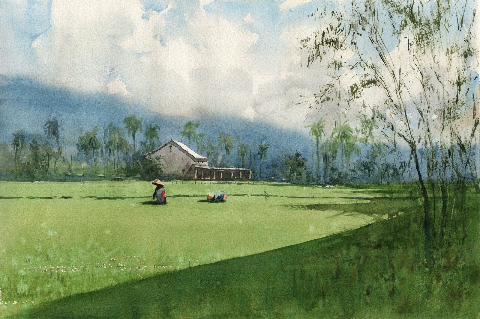 Vietnam Set