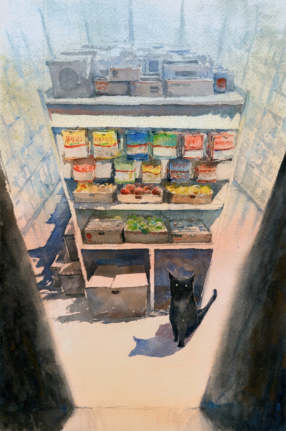 Bodega Cat