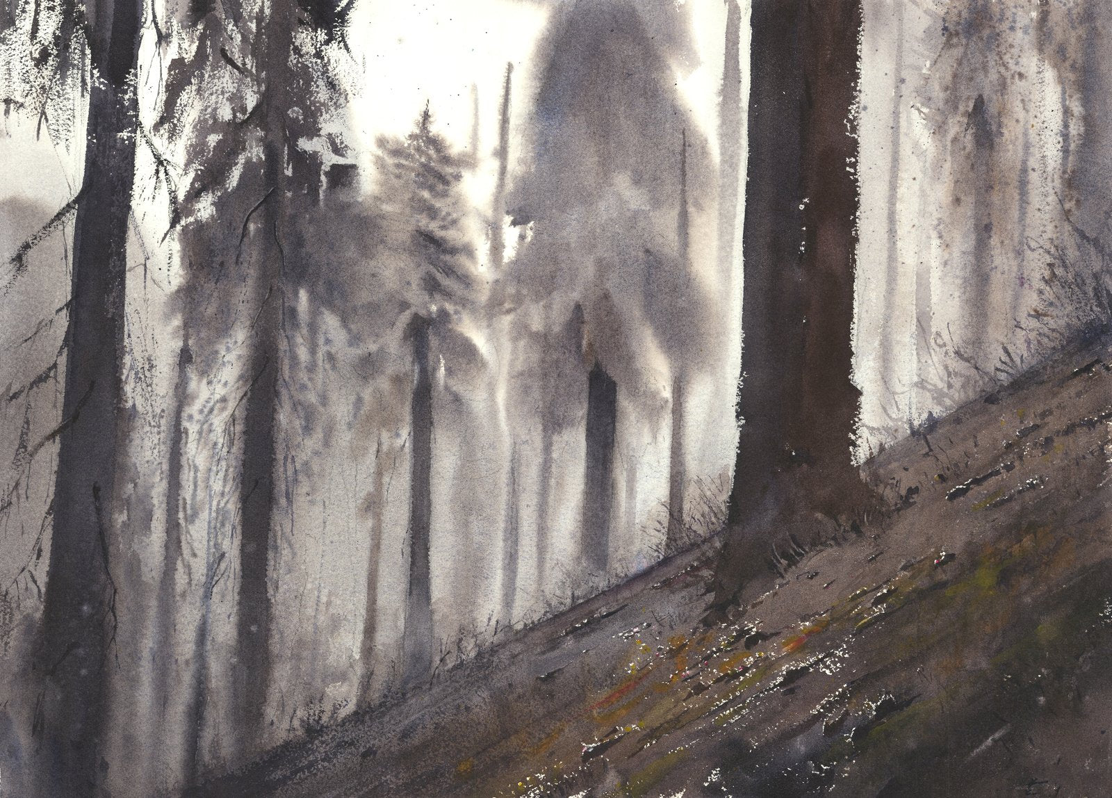 Among Giants (Sequoia National Park)